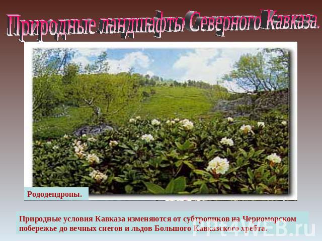 Природные ландшафты Северного Кавказа. Природные условия Кавказа изменяются от субтропиков на Черноморском побережье до вечных снегов и льдов Большого Кавказского хребта.