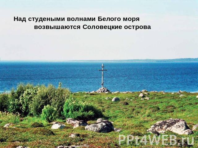 Над студеными волнами Белого моря возвышаются Соловецкие острова