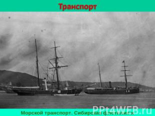 ТранспортМорской транспорт. Сибирская флотилия и Добровольный флот.