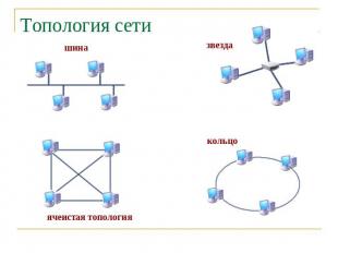 Топология сети