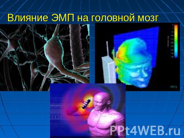 Влияние ЭМП на головной мозг
