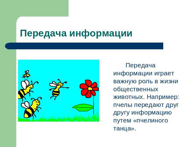 Передача информации Передача информации играет важную роль в жизни общественных животных. Например: пчелы передают друг другу информацию путем «пчелиного танца».