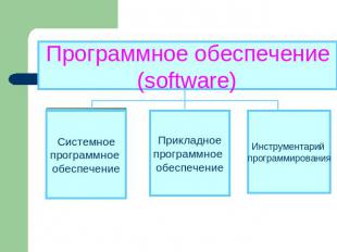 Программное обеспечение(software)