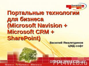 Портальные технологии для бизнеса(Microsoft Navision + Microsoft CRM + SharePoin