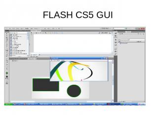 FLASH CS5 GUI
