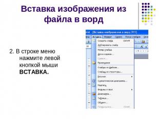Вставка изображения из файла в ворд 2. В строке меню нажмите левой кнопкой мыши