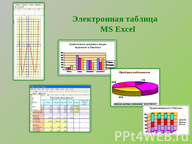 Электронная таблица MS Excel
