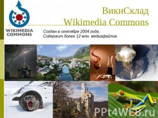ВикиСкладWikimedia Commons Создан в сентябре 2004 года. Содержит более 12 млн. м