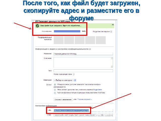 После того, как файл будет загружен, скопируйте адрес и разместите его в форуме