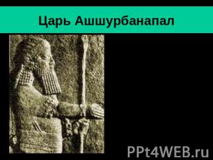 Царь Ашшурбанапал Ашшурбанапал- последний значительный царь Ассирии (669-630 гг.