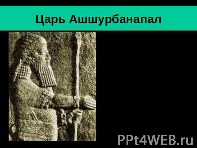 Царь Ашшурбанапал Ашшурбанапал- последний значительный царь Ассирии (669-630 гг. до н.э.).