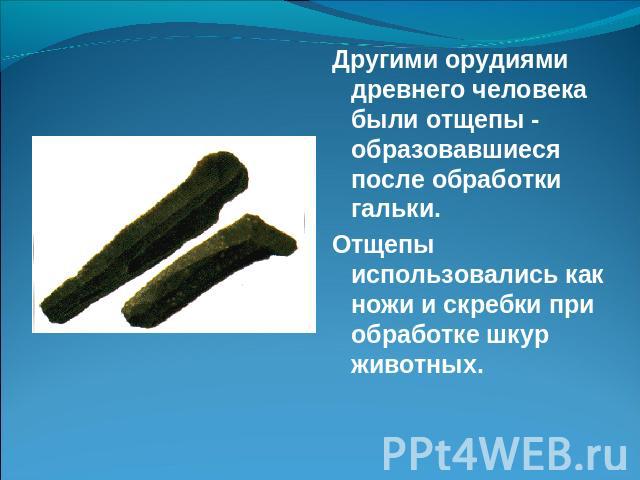 Другими орудиями древнего человека были отщепы - образовавшиеся после обработки гальки.Отщепы использовались как ножи и скребки при обработке шкур животных.