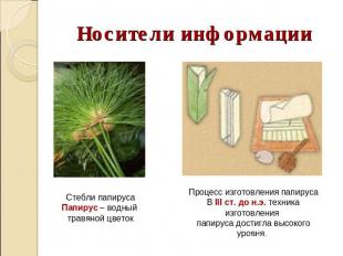 Носители информации Стебли папирусаПапирус – водный травяной цветокПроцесс изгот