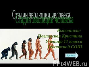 Стадии эволюции человека Выполнила: Павловская КристинаУченица 11 классаТёпловск