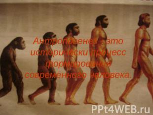 Антропогенез - это исторически процесс формирования современного человека.