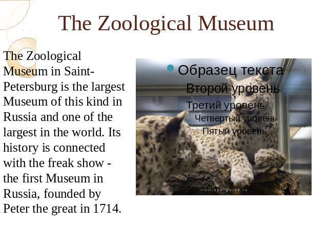 The Zoological Museum