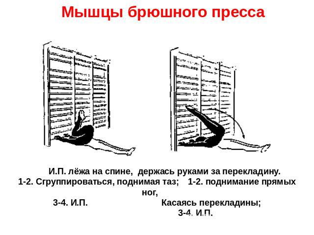 Мышцы брюшного пресса И.П. лёжа на спине, держась руками за перекладину.1-2. Сгруппироваться, поднимая таз;1-2. поднимание прямых ног, 3-4. И.П.Касаясь перекладины;3-4. И.П.