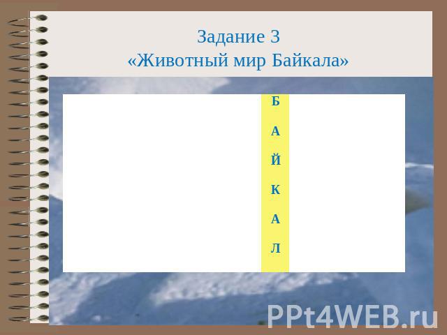 Задание 3«Животный мир Байкала»