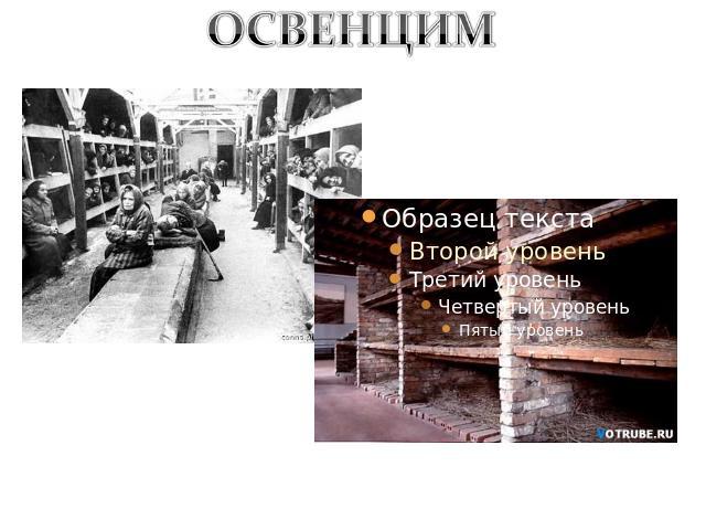 Аушвиц –нем. фашистский 1 на территории оккупированной Польши, около г. Освенцим, близ Кракова. Освенцим являлся одним из центром, где широко проводились биологические уничтожения людей. Здесь существовали спец. больницы, хирургические блоки, гистол…