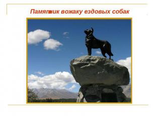 Памятник вожаку ездовых собак