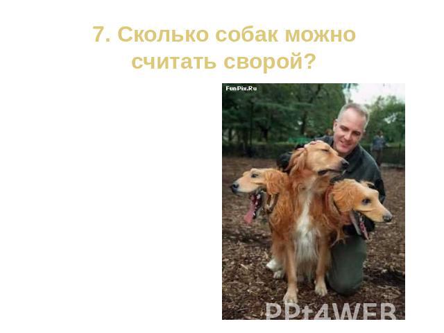 7. Сколько собак можно считать сворой?Три