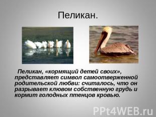 Пеликан. Пеликан, «кормящий детей своих», представляет символ самоотверженной ро