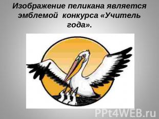 Изображение пеликана является эмблемой конкурса «Учитель года».