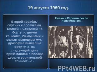 Второй корабль-спутник с собачками Белкой и Стрелкой на борту , с двумя крысами,