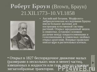 Роберт Броун (Brown, Браун) 21.XII.1773–10.VI.1858 Английский ботаник. Морфолого