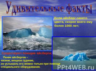 Удивительные факты Если айсберг синего цвета, скорее всего ему более 1000 лет; С