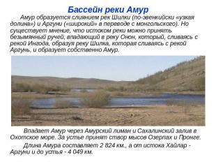 Бассейн реки Амур Амур образуется слиянием рек Шилки (по-эвенкийски «узкая долин