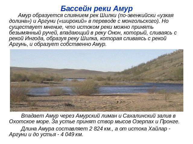 Бассейн реки Амур Амур образуется слиянием рек Шилки (по-эвенкийски «узкая долина») и Аргуни («широкий» в переводе с монгольского). Но существует мнение, что истоком реки можно принять безымянный ручей, впадающий в реку Онон, который, сливаясь с рек…