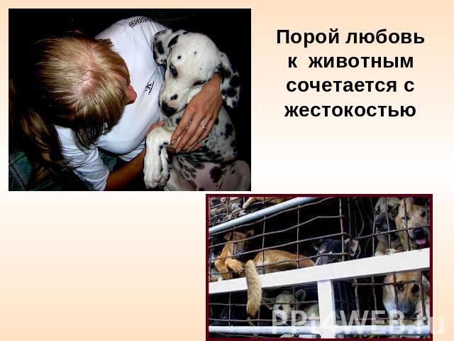 Порой любовь к животным сочетается с жестокостью