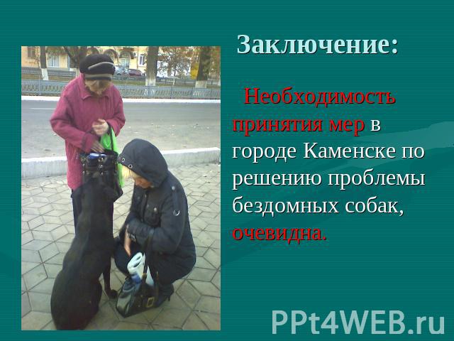 Заключение: Необходимость принятия мер в городе Каменске по решению проблемы бездомных собак, очевидна.