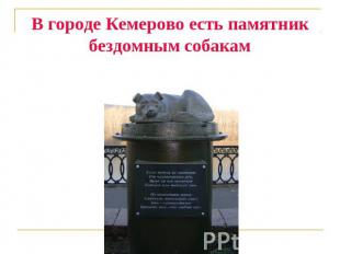 В городе Кемерово есть памятник бездомным собакам