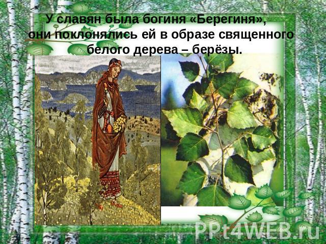 У славян была богиня «Берегиня», они поклонялись ей в образе священного белого дерева – берёзы.