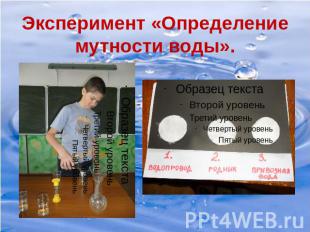 Эксперимент «Определение мутности воды».