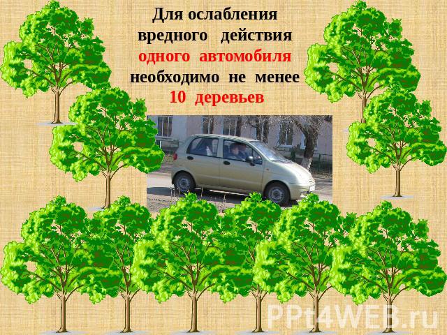 Для ослаблениявредного действия одного автомобиля необходимо не менее 10 деревьев