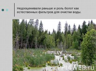 Недооценивали раньше и роль болот как естественных фильтров для очистки воды.
