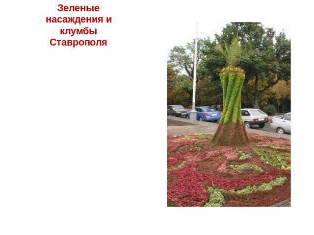 Зеленые насаждения и клумбы Ставрополя Зеленые насаждения составляют одно из богатств Ставрополя. Город утопает в изумрудной зелени. На протяжении всего времени садово-парковые устройства остаются важнейшей частью развития города. В цветочном оформл…