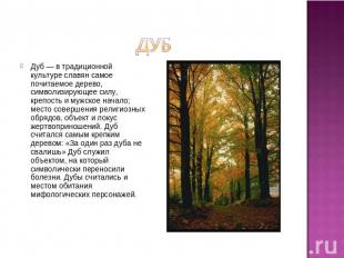 дуб Дуб — в традиционной культуре славян самое почитаемое дерево, символизирующе