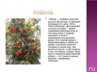 Рябина Рябина — любимый персонаж русского фольклора. В народном календаре есть д