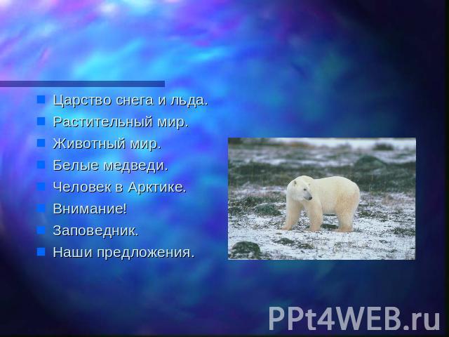 Содержание Царство снега и льда.Растительный мир.Животный мир.Белые медведи.Человек в Арктике.Внимание!Заповедник.Наши предложения.