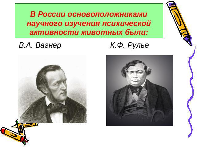 В России основоположниками научного изучения психической активности животных были: В.А. Вагнер К.Ф. Рулье