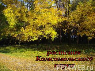 Растения Комсомольского парка