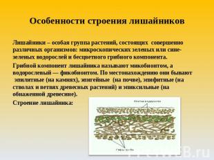 Особенности строения лишайников Лишайники – особая группа растений, состоящих со