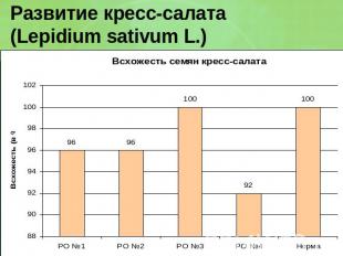 Развитие кресс-салата (Lepidium sativum L.)
