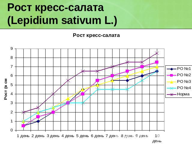 Рост кресс-салата (Lepidium sativum L.)