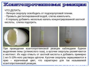 Ксантопротеиновая реакция ЧТО ДЕЛАТЬ: - Яичную скорлупу освободить от подскорлуп