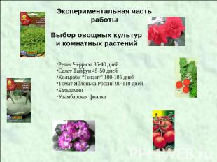 Экспериментальная часть работы Выбор овощных культур и комнатных растений Редис